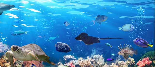Plongée profonde dans le monde sous-marin de Nausi
