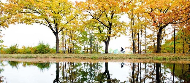 KLEIN LAND, GROOT CONTRAST