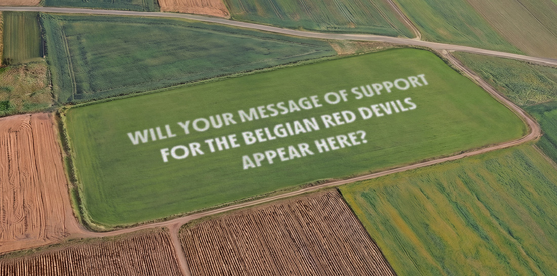 Wish our Belgian Red Devils good luck!