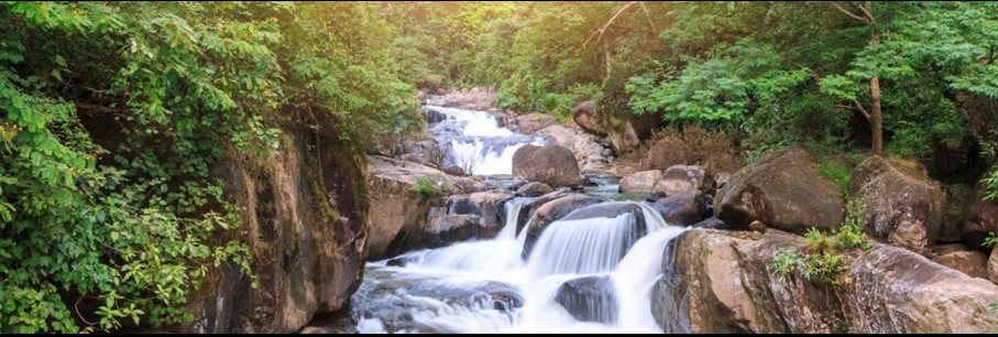 De la nature sauvage aux rizières