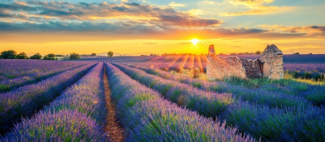France 2025