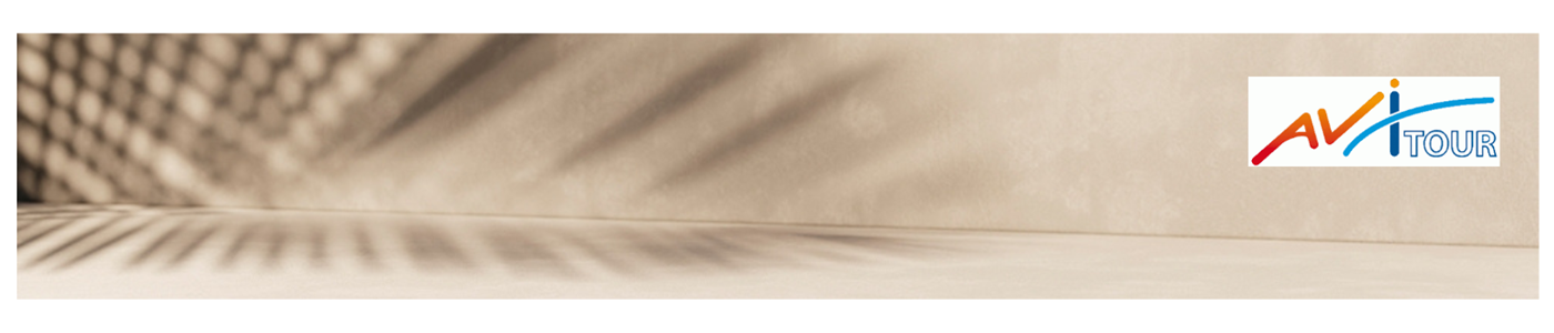 Avitour