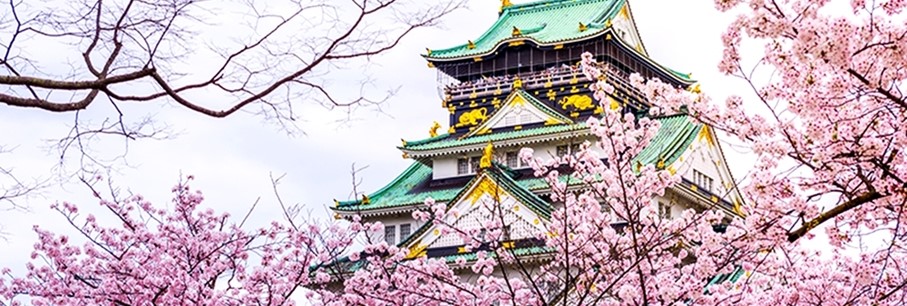 Japan in kleine groep