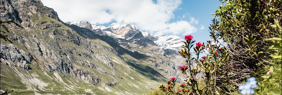Au royaume des bouquetins et des marmottes