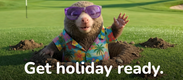 Get holiday ready!