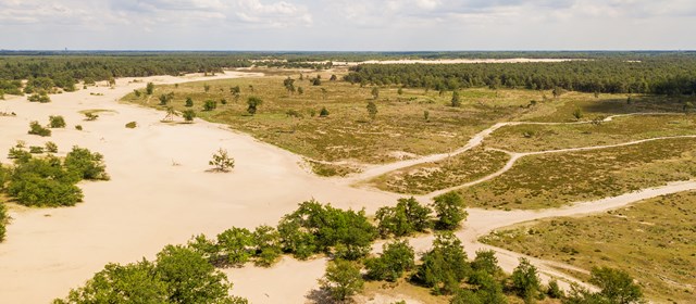 Ontdek het verrassend veelzijdige Noord-Brabant