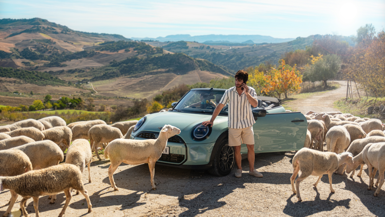 Eén op de 3 Vlamingen mijdt huurauto op vakantie