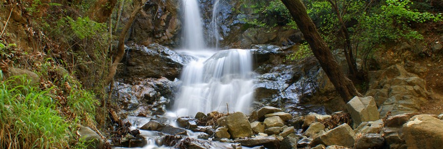 La nature de Chypre