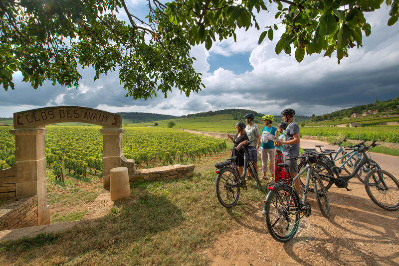 Saveurs de Bourgogne, de gastronomische fietsroute