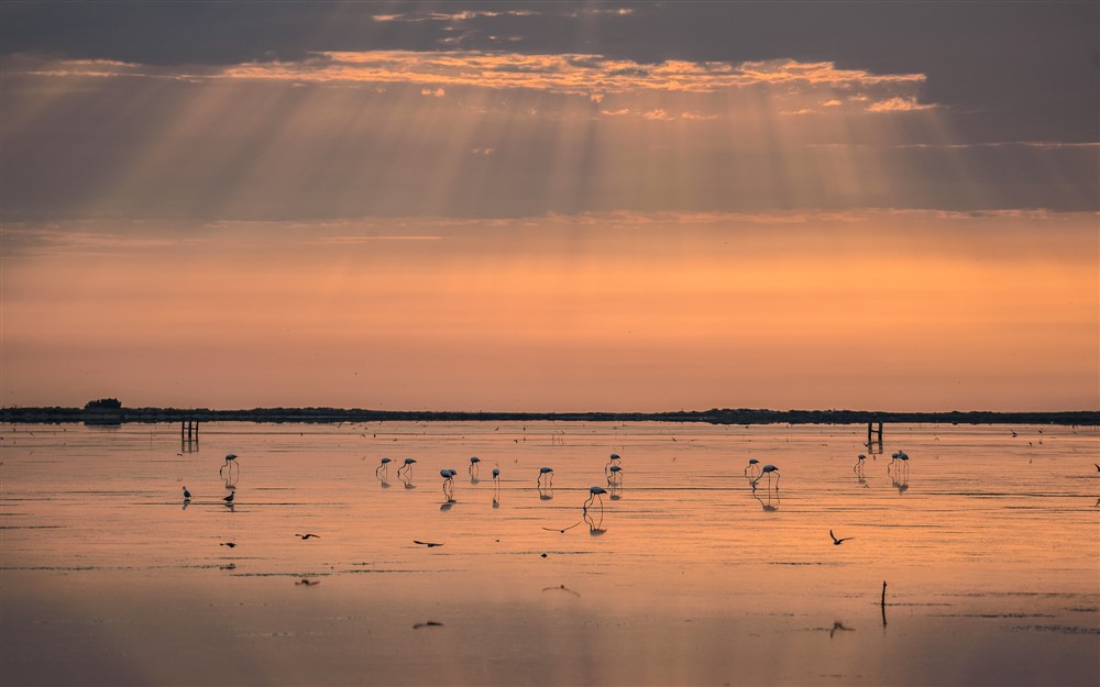 Catalonië: Een Levendige Bestemming voor Ecotoerisme
