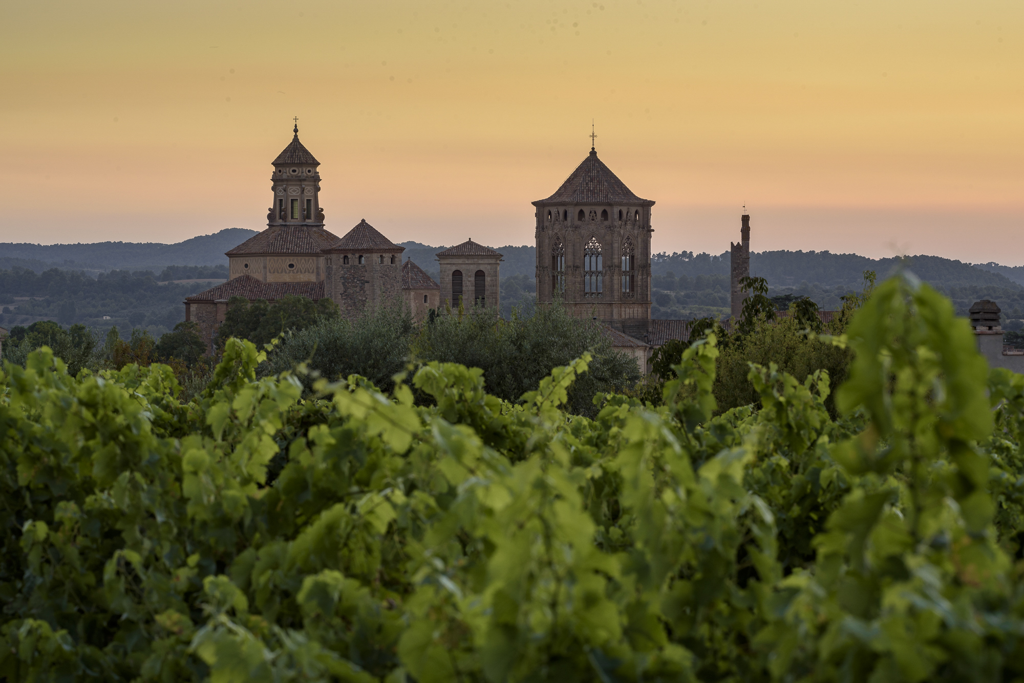 Catalan Tourist Board