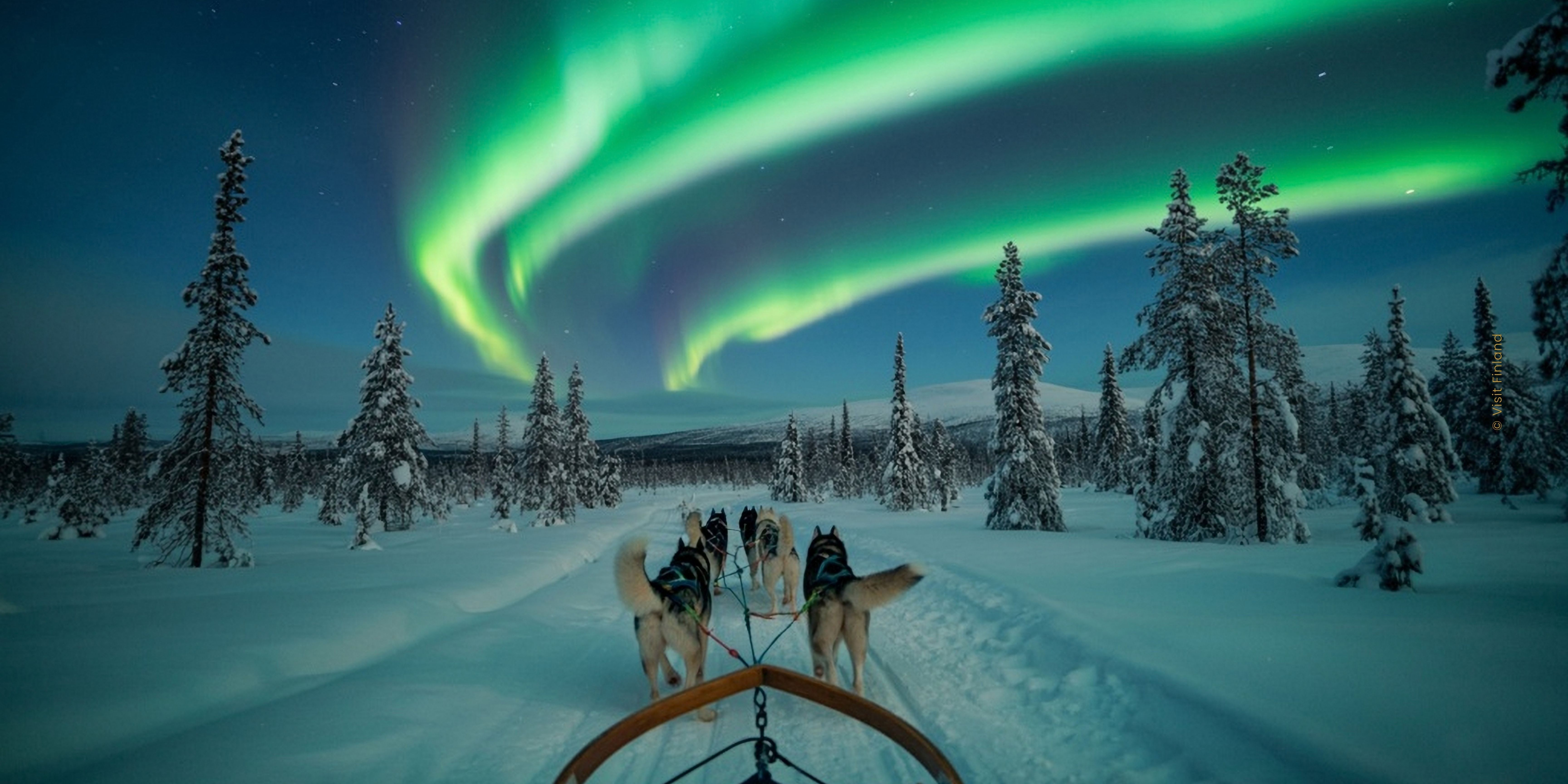 Sodankylä affiche complet, YelloSun ajoute 2 dates