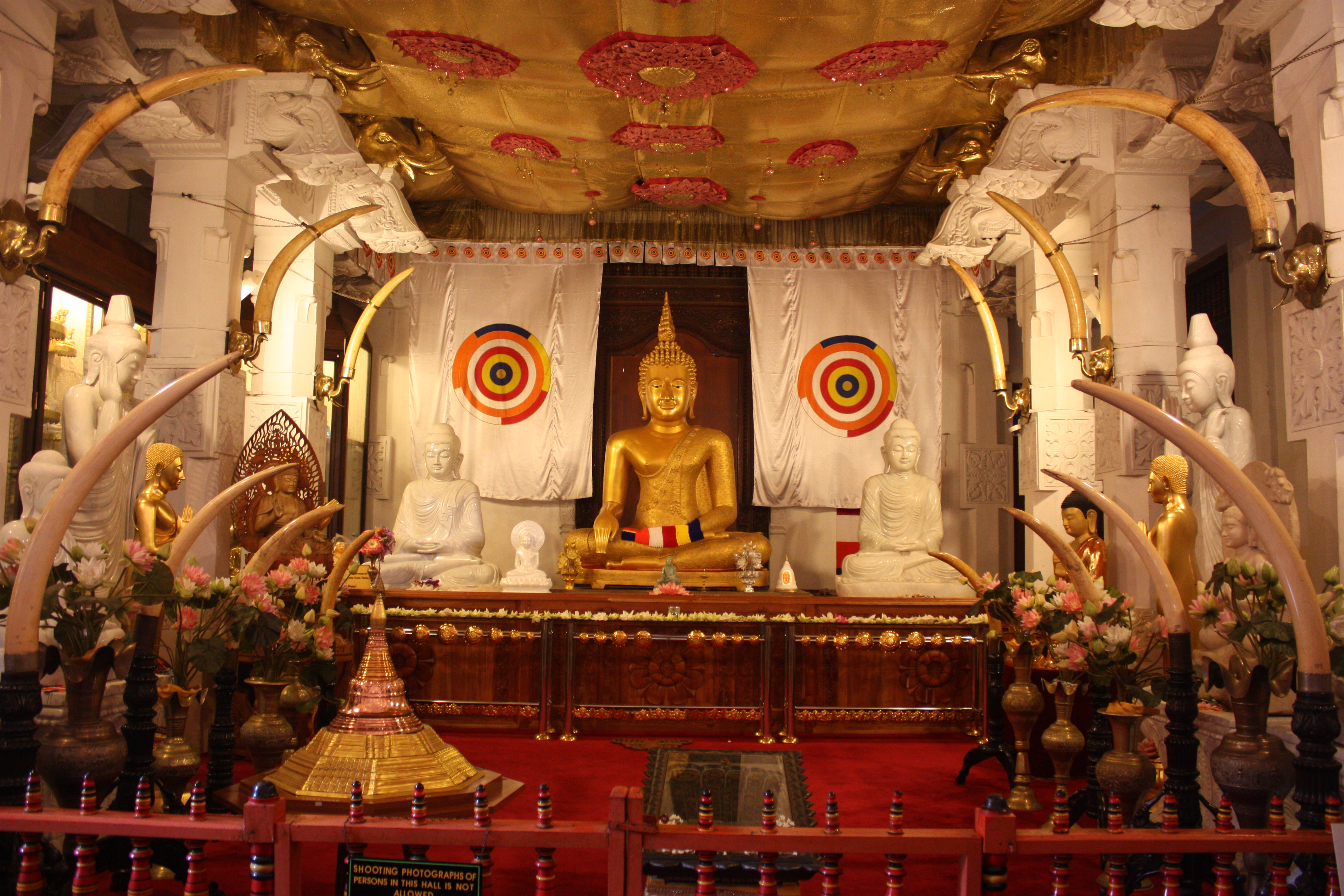 Sri Lanka, la destination du moment