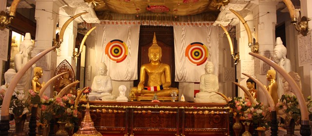 Sri Lanka, la destination du moment