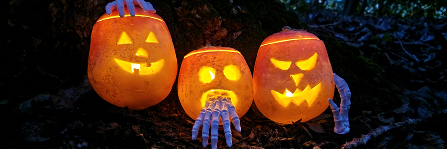 Avond voor reisprofessionals - Iers Halloween