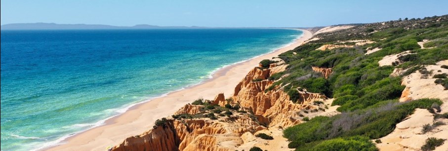 Word een Alentejo Expert !