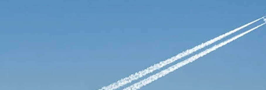 Critique du PDG de Lufthansa