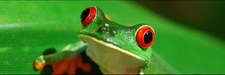 Costa Rica ; een ongerept paradijs