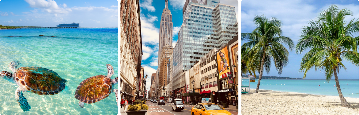 Promo -50%: New York, the Caribbean &amp; Panama