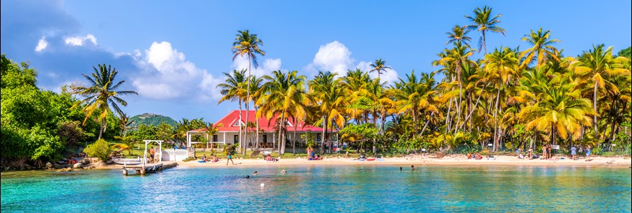 Word een Gecertificeerde Expert van Guadeloupe