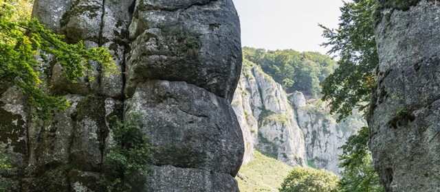 Natuur in Krakau