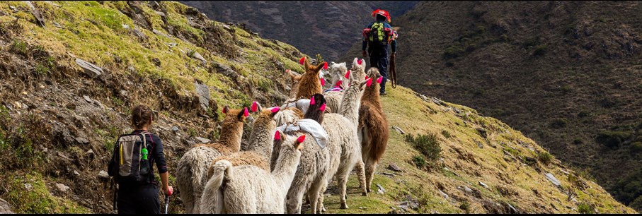 Peru: over alternatieve paden - Tooku Limited