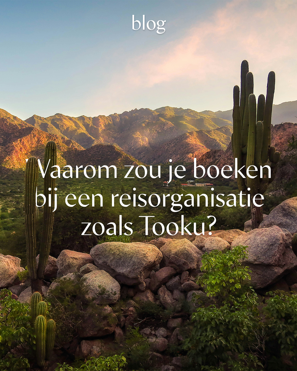 Waarom boeken bij een reisorganisatie zoals Tooku?