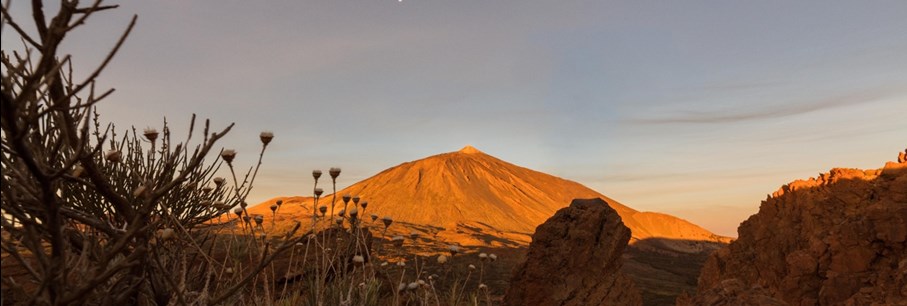 Tenerife à Liège