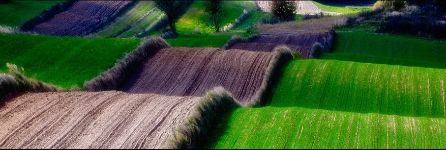 Autorondreis in Polen