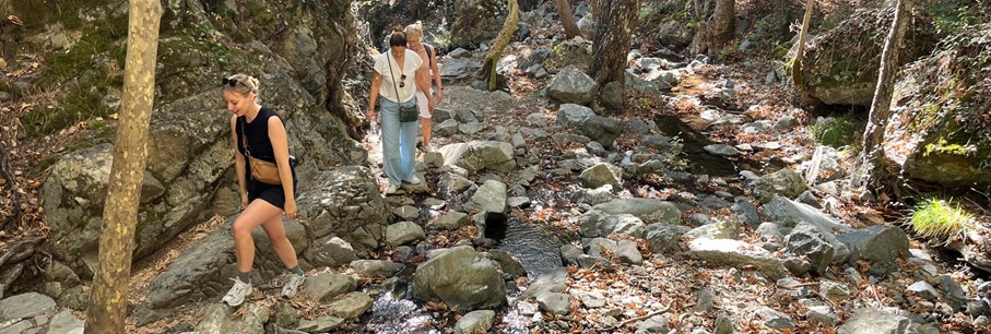 Het Troodos-gebergte