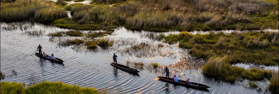 Ontdek het labyrint van waterwegen in een mokoro