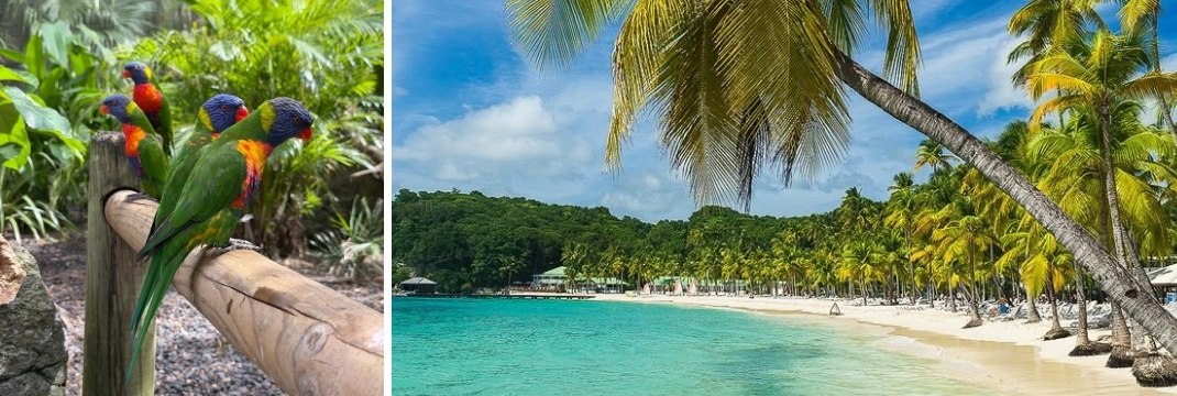 Studiereis: Guadeloupe door de ogen van Jason