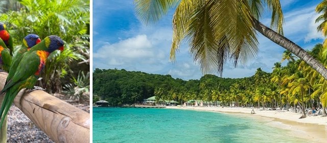 Studiereis: Guadeloupe door de ogen van Jason