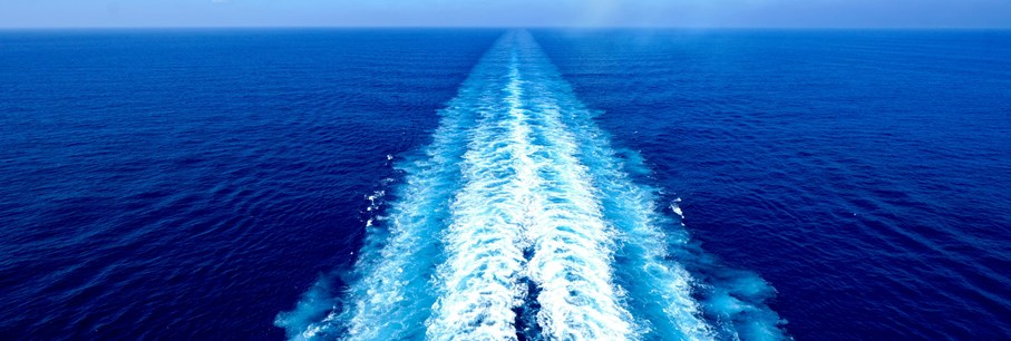 De Grote Cruise-Enquête