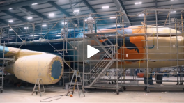 Brussels Airlines' newest Belgian Icon