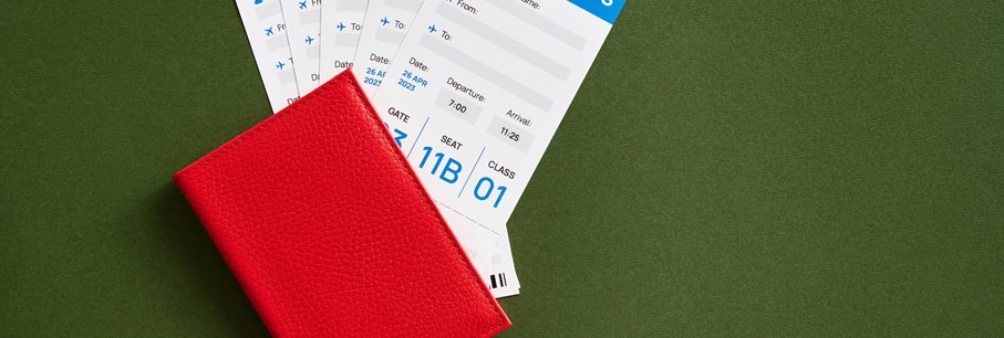 Vliegtuigticket Prijs 