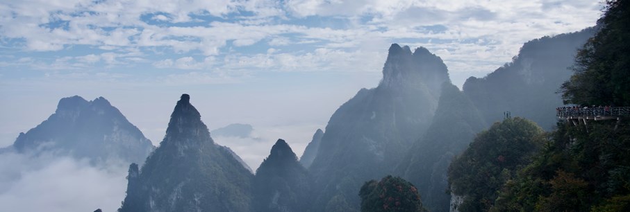 Amadeus Travel Dreams 2026