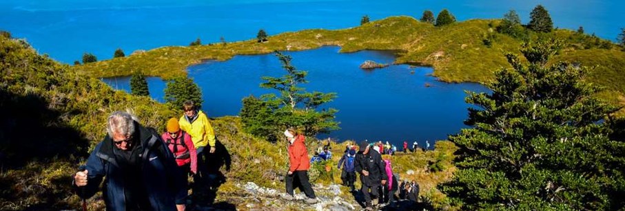 Top 10 populaire groepsreizen