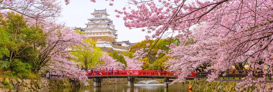 Uitzonderlijk aanbod Japan