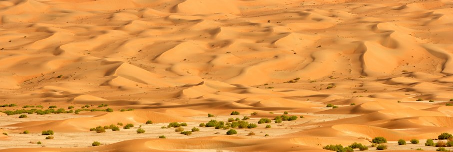 La splendeur époustouflante du désert