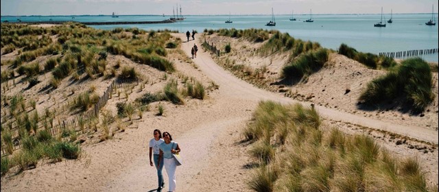 Webinar-tip van deze week: Flevoland