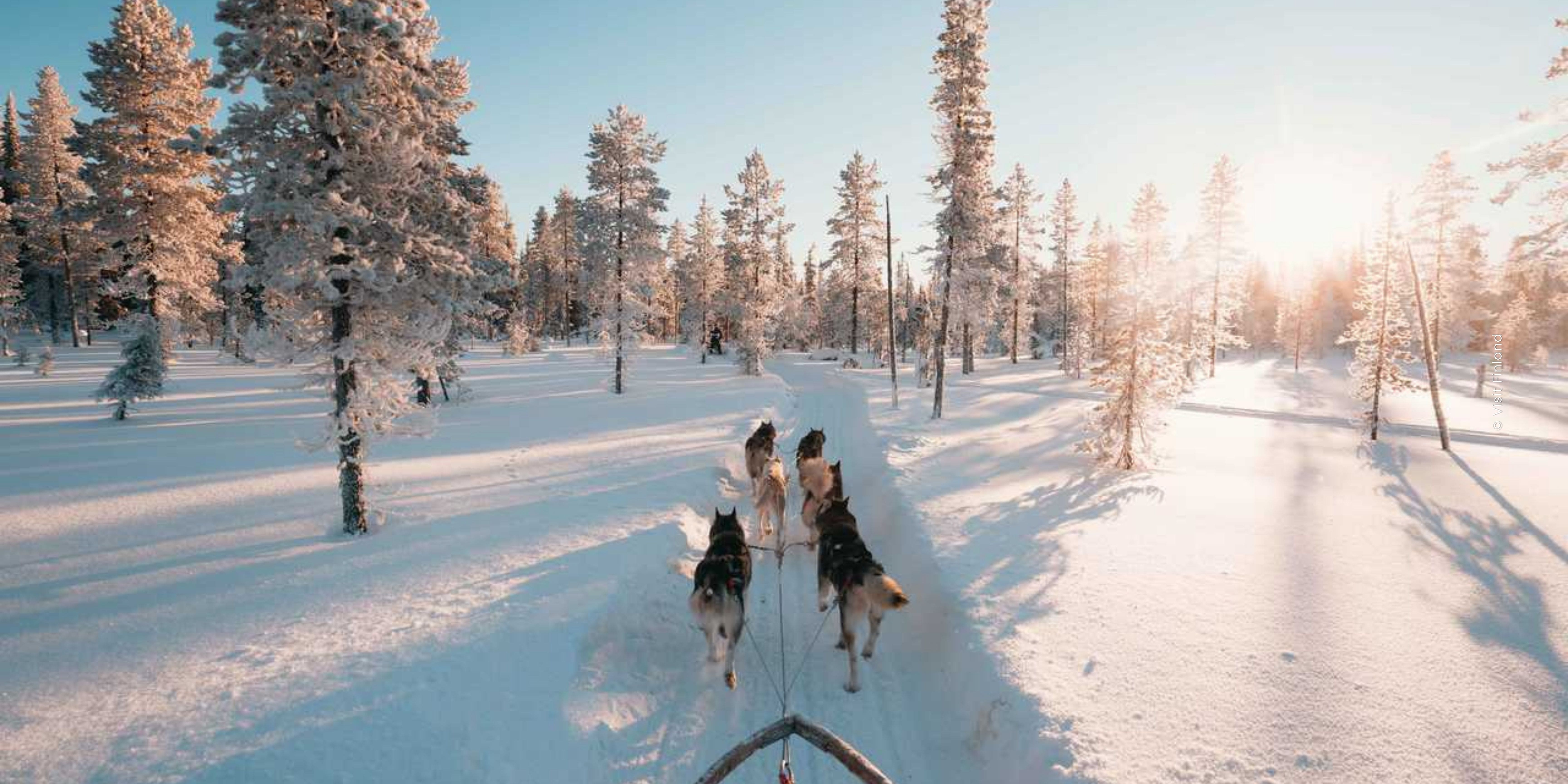 Na de Tunesische zon: op naar Lapland