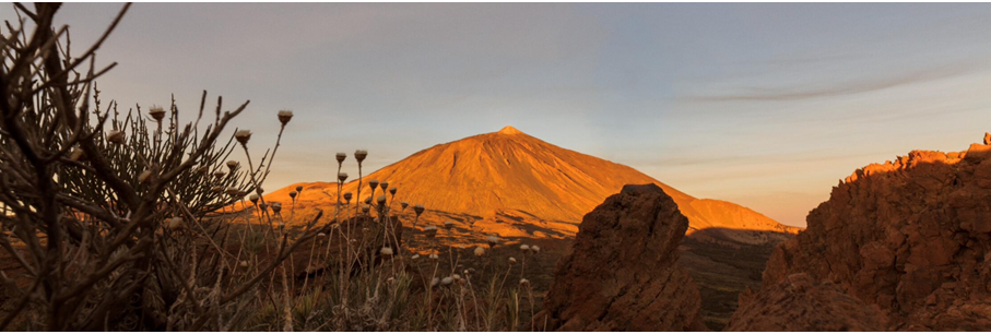 Bosbranden in Tenerife