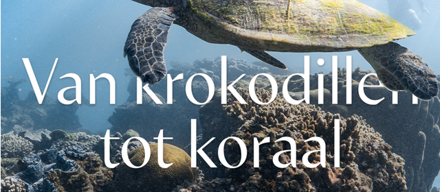 Van krokodillen tot koraal