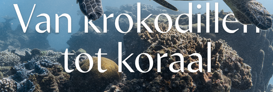 Van krokodillen tot koraal