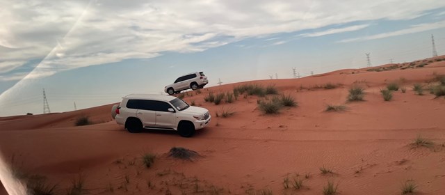 Exploration du désert