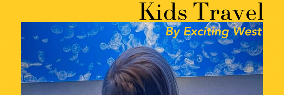California for kids - by Exiting West