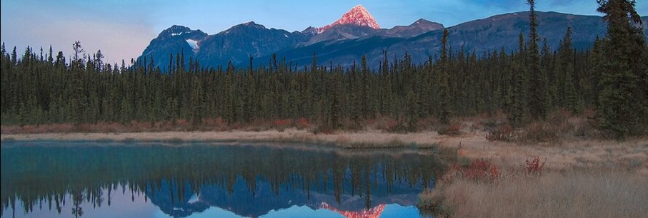 Jasper National Park na de bosbranden