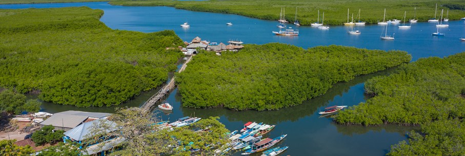 Variety Cruises
