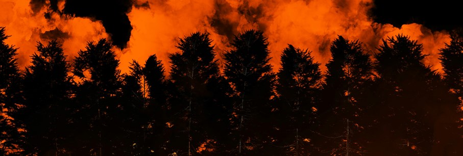 Les phénomènes météo extrêmes deviennent la norme. 